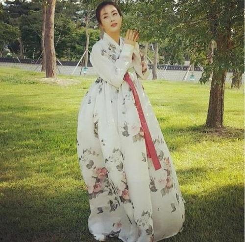 穿韩服的明星,明星风采演绎传统韩服魅力