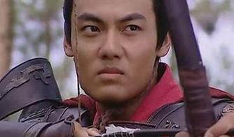 所有演过霍去病的演员